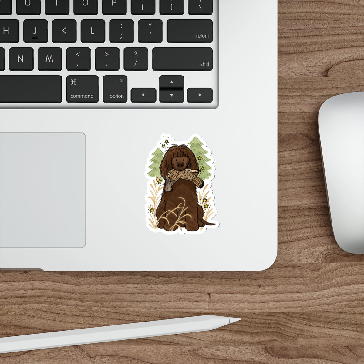 Die-Cut Sticker (indoor/outdoor)