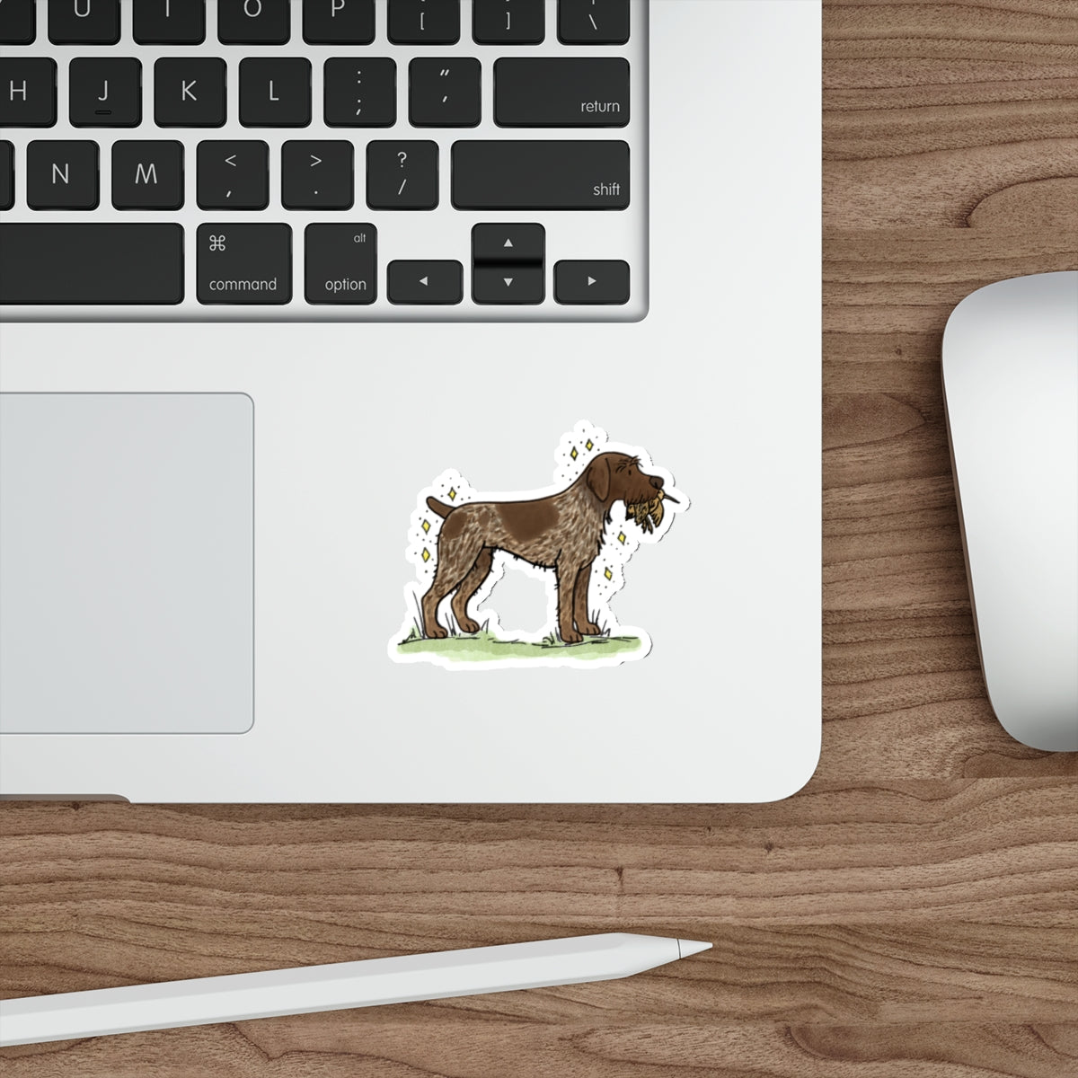 Die-Cut Sticker (indoor/outdoor)