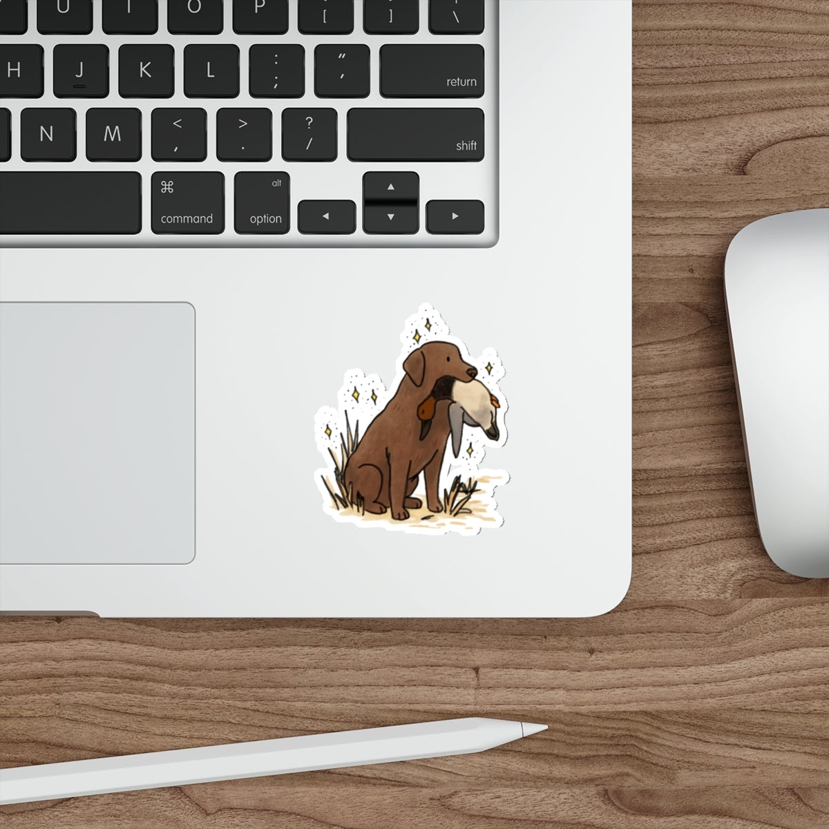 Die-Cut Sticker (indoor/outdoor)