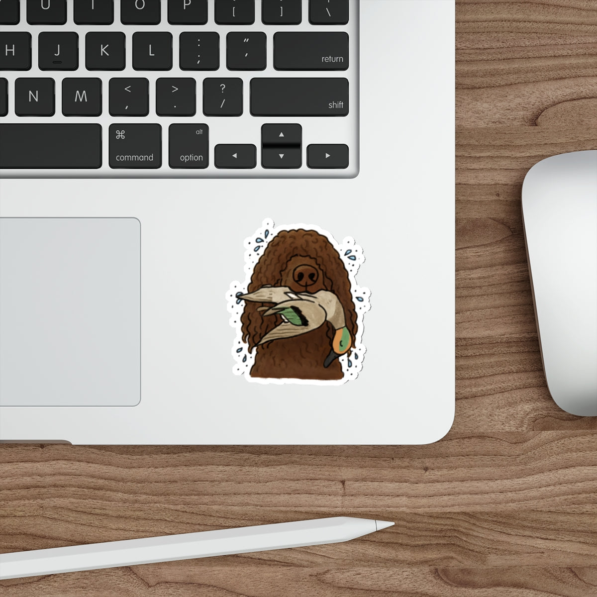 Die-Cut Sticker (indoor/outdoor)
