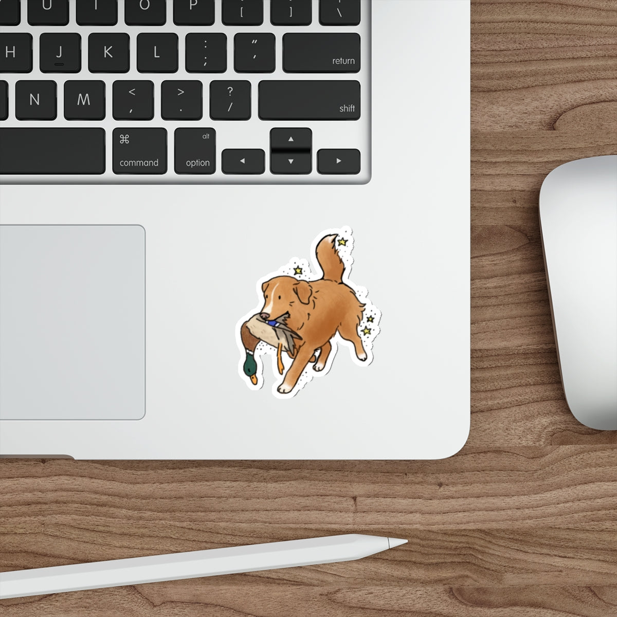Die-Cut Sticker (indoor/outdoor)