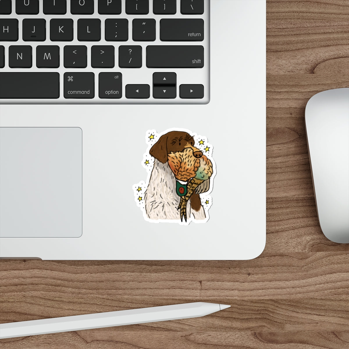 Die-Cut Sticker (indoor/outdoor)