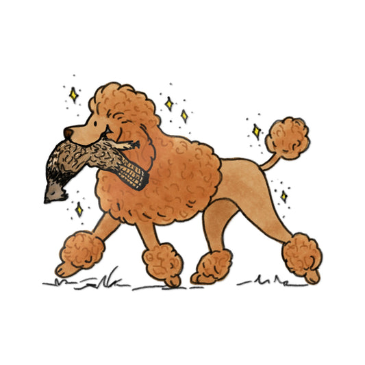 PermaDecal (indoor/outdoor)