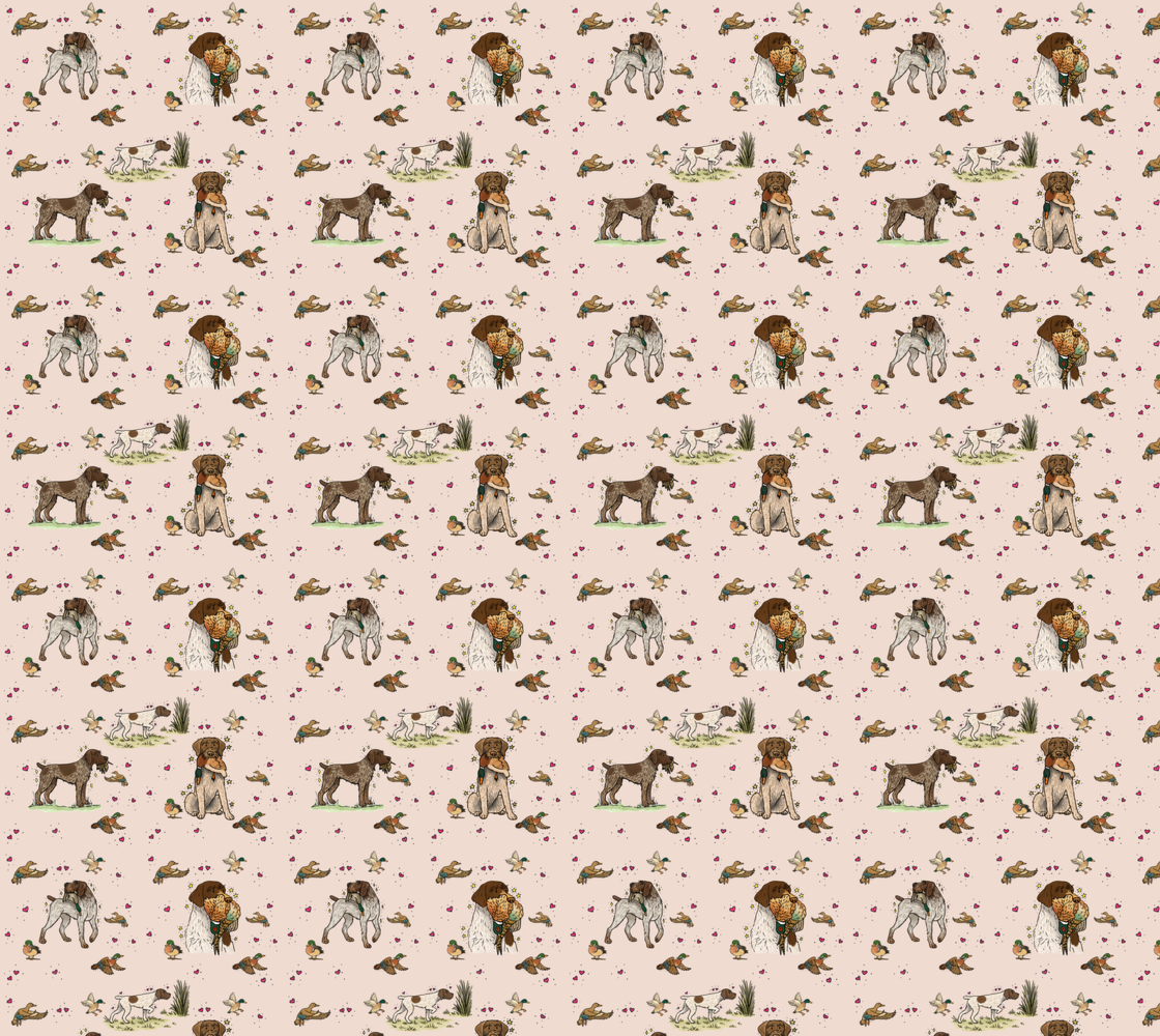 German Wire-Haired Pointer