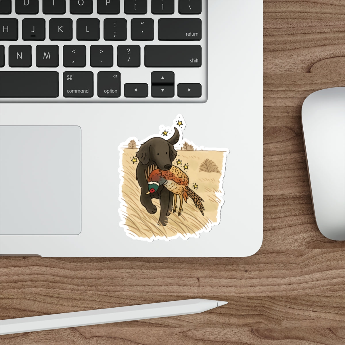 Die-Cut Sticker (indoor/outdoor)
