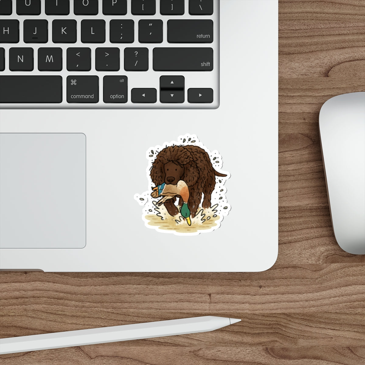 Die-Cut Sticker (indoor/outdoor)