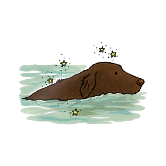 PermaDecal (indoor/outdoor)