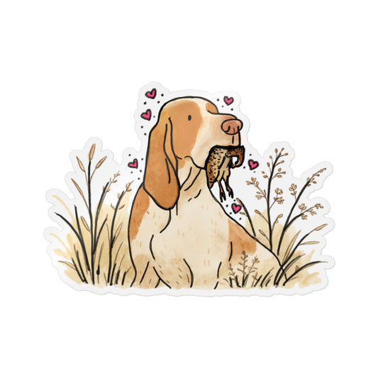 PermaDecal (indoor/outdoor) Bracco Italiano