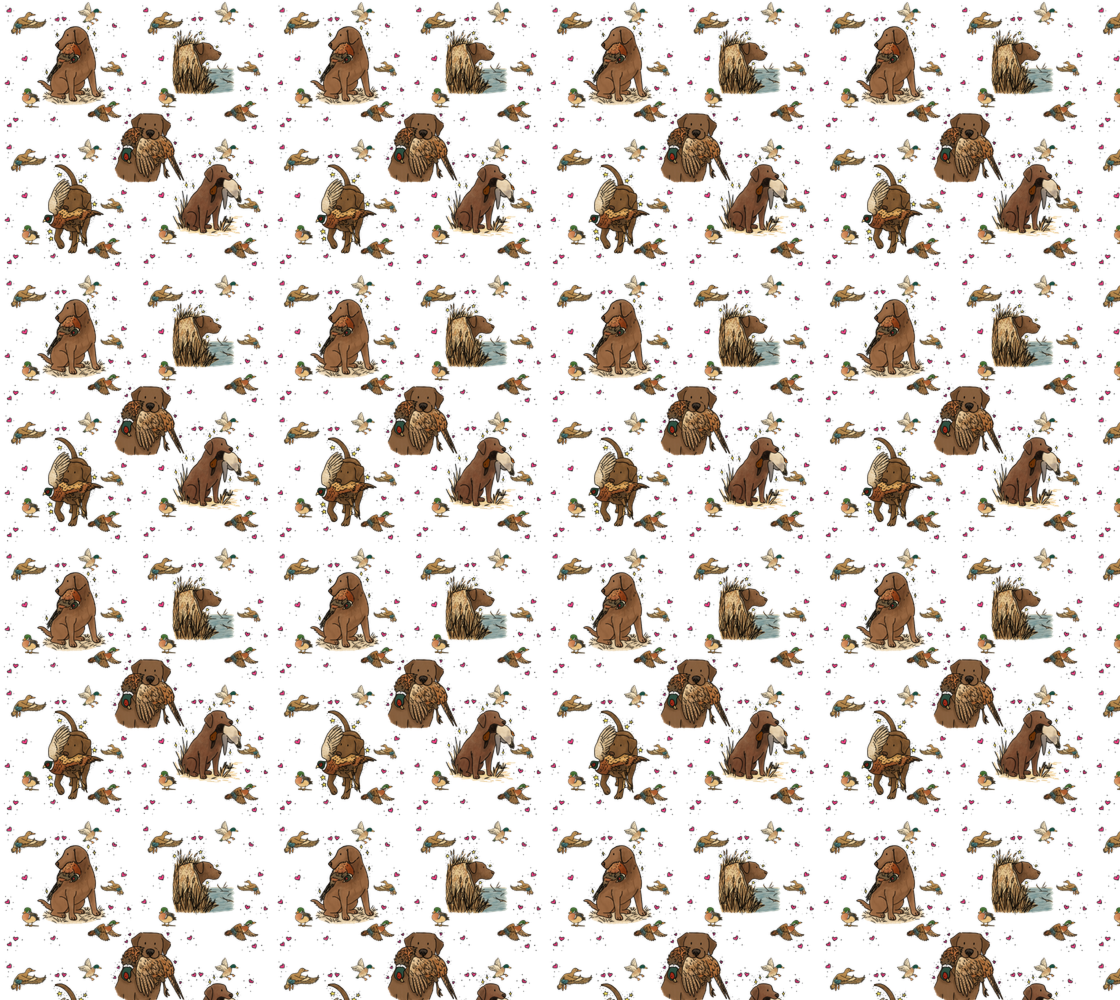 Chocolate Labrador Retriever