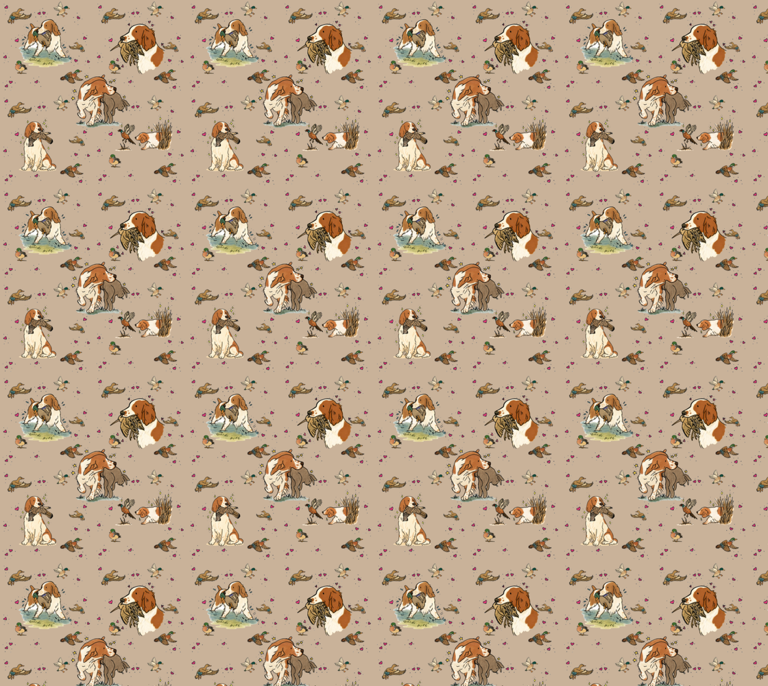 Welsh Springer Spaniel