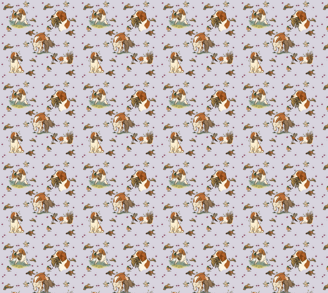 Welsh Springer Spaniel