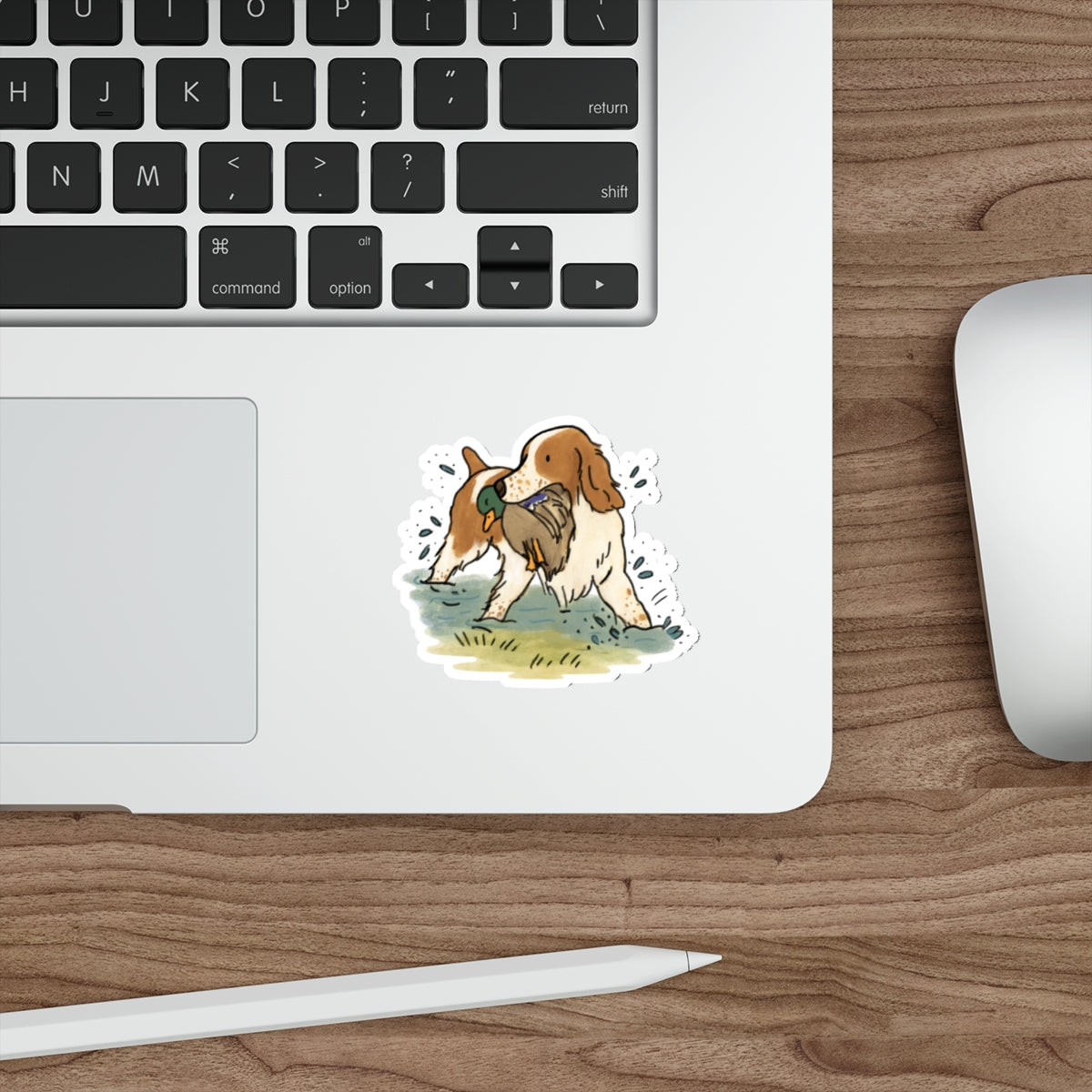 Die-Cut Sticker (indoor/outdoor)