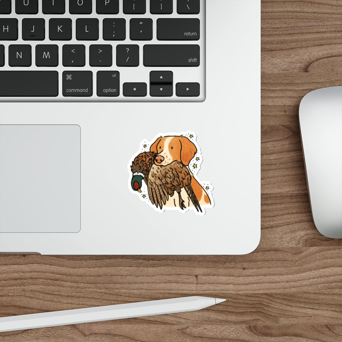 Die-Cut Sticker (indoor/outdoor)