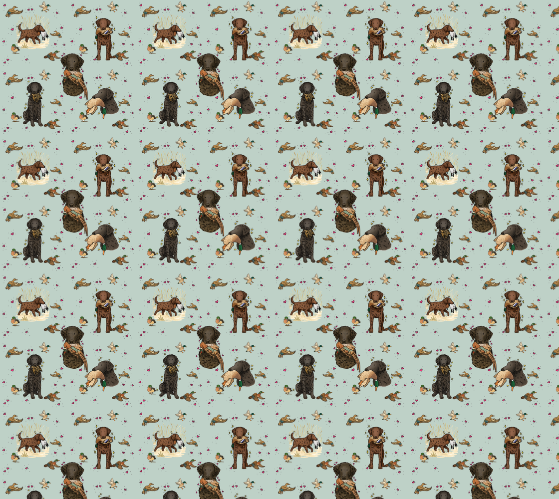 Curly-Coated Retriever