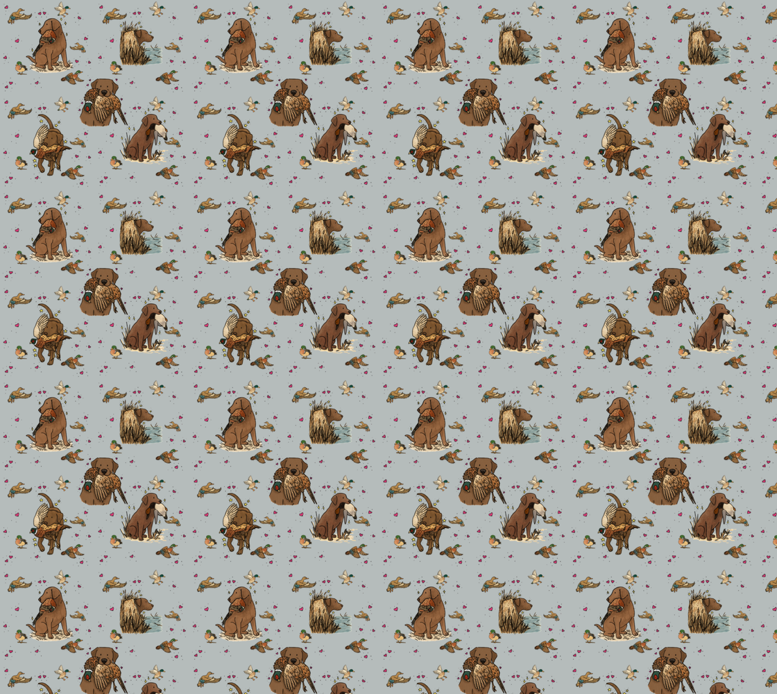 Chocolate Labrador Retriever