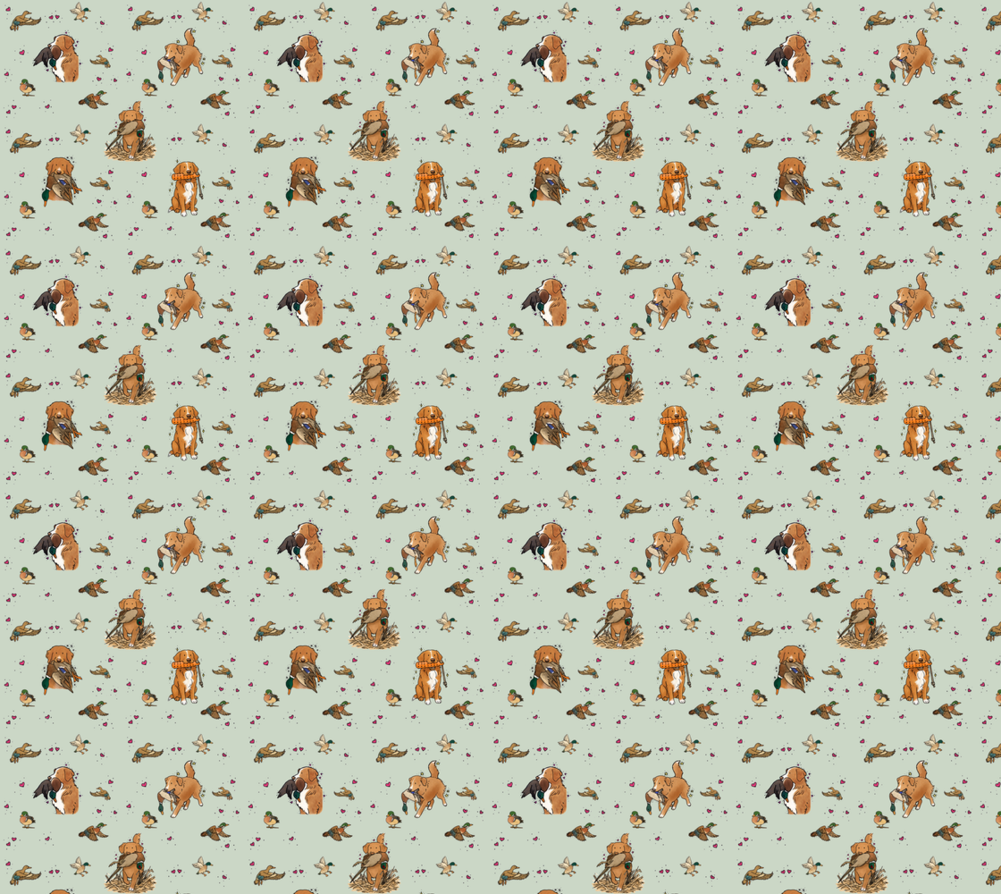 Nova Scotia Duck Tolling Retriever