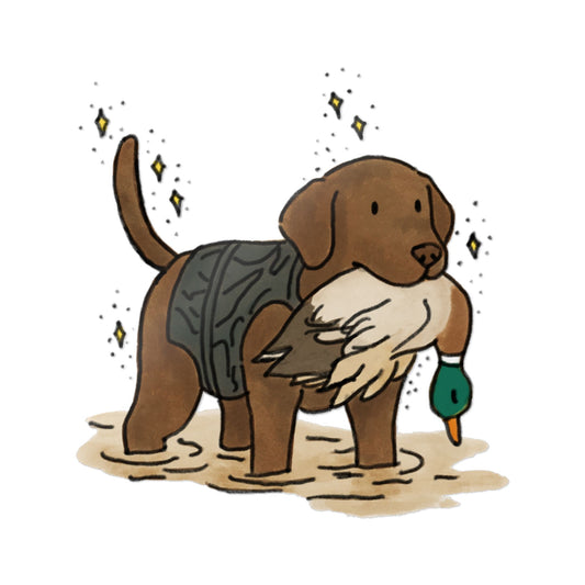 PermaDecal (indoor/outdoor)