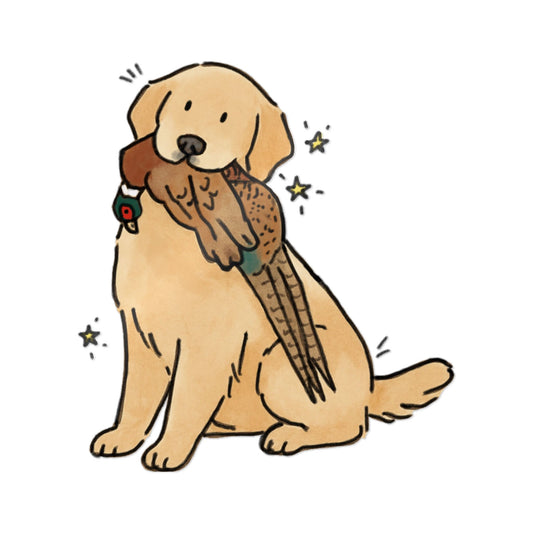 PermaDecal (indoor/outdoor)