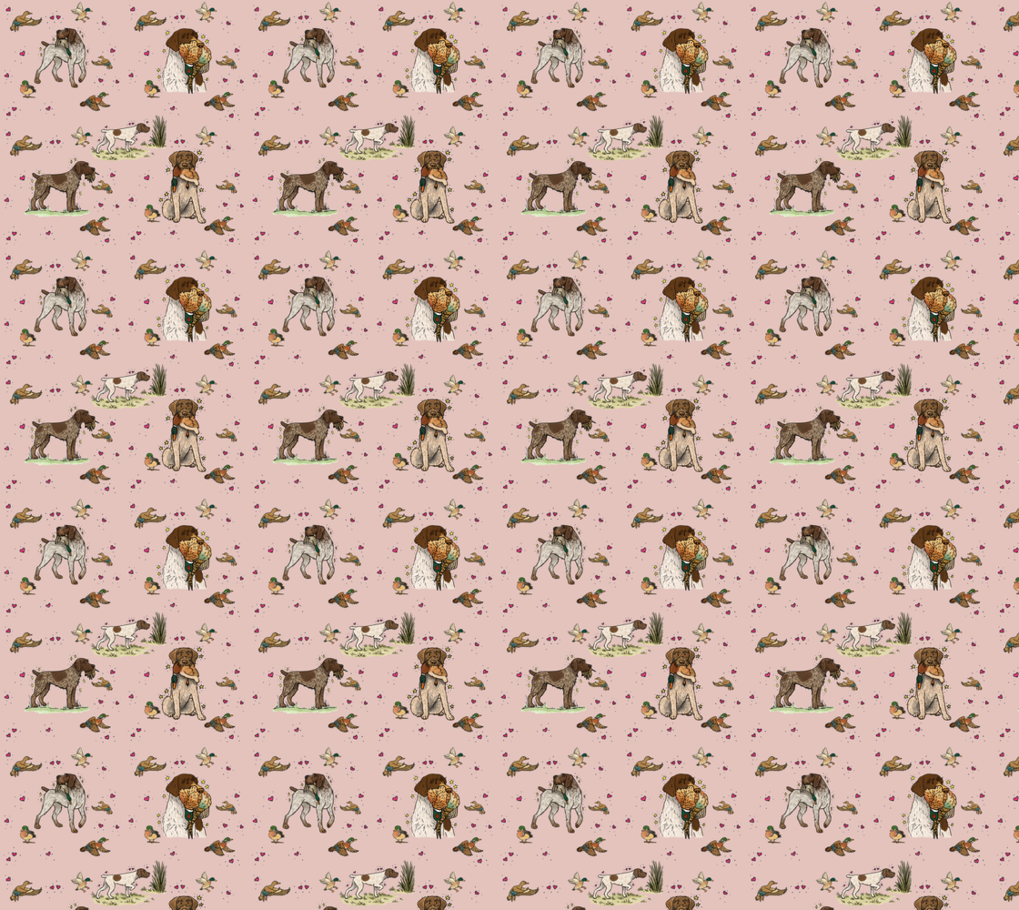 German Wire-Haired Pointer