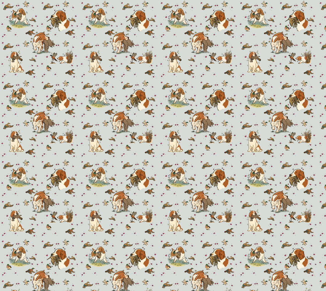 Welsh Springer Spaniel