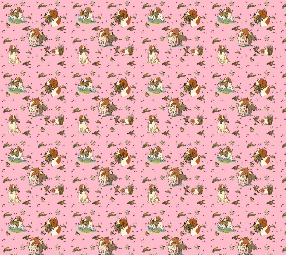 Welsh Springer Spaniel