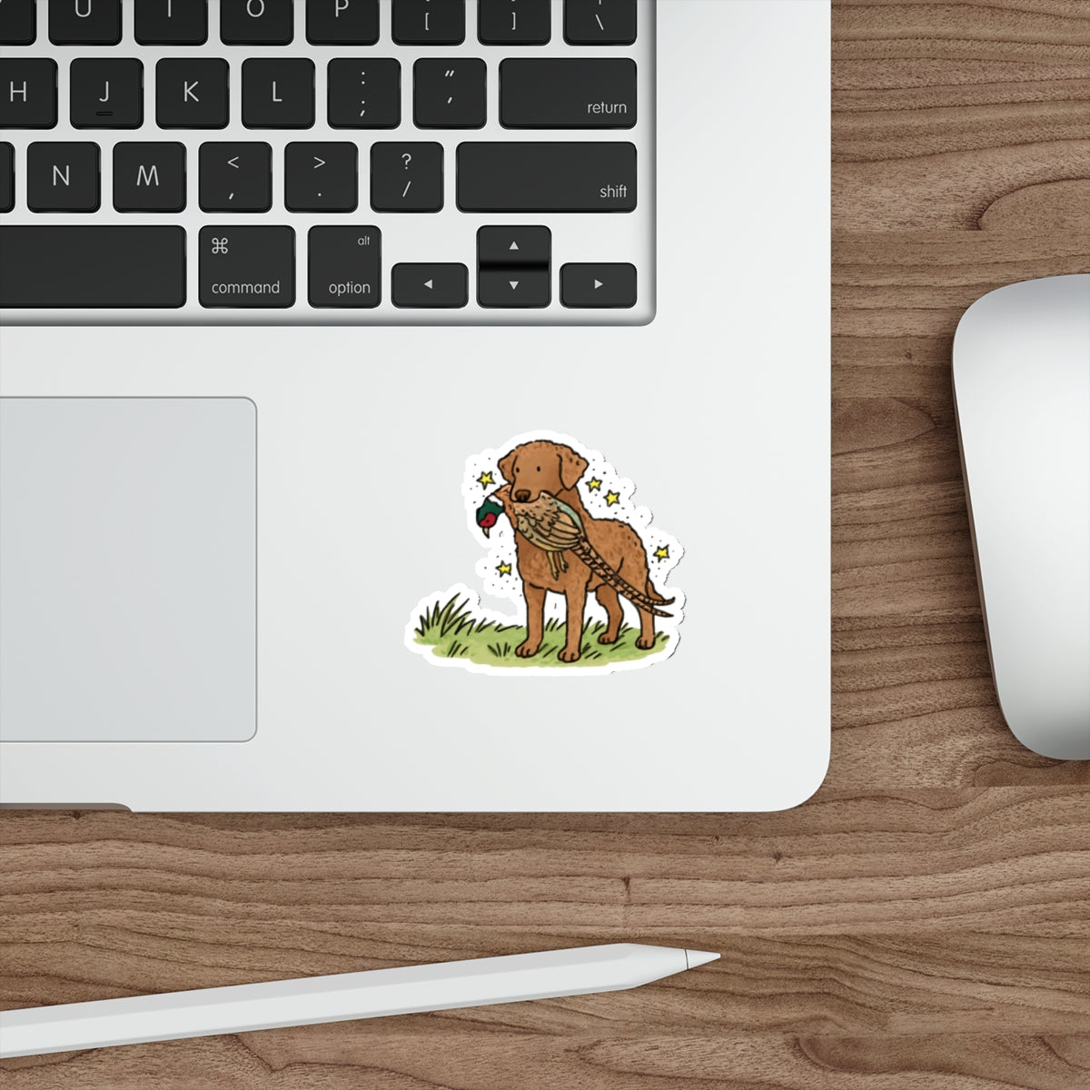 Die-Cut Sticker (indoor/outdoor)
