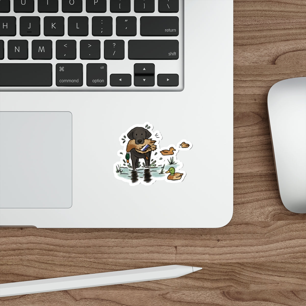 Die-Cut Sticker (indoor/outdoor)