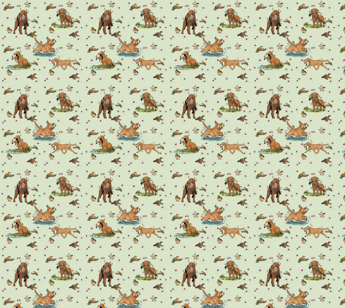 Chesapeake Bay Retriever