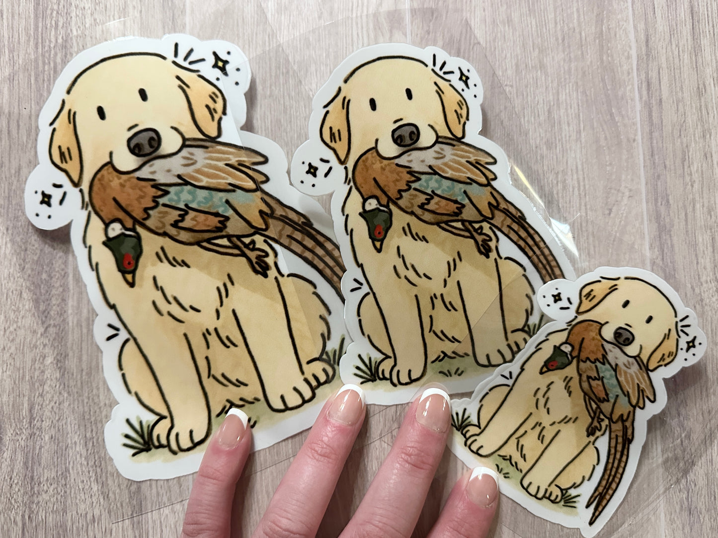 Car decals - 3 sizes to choose from