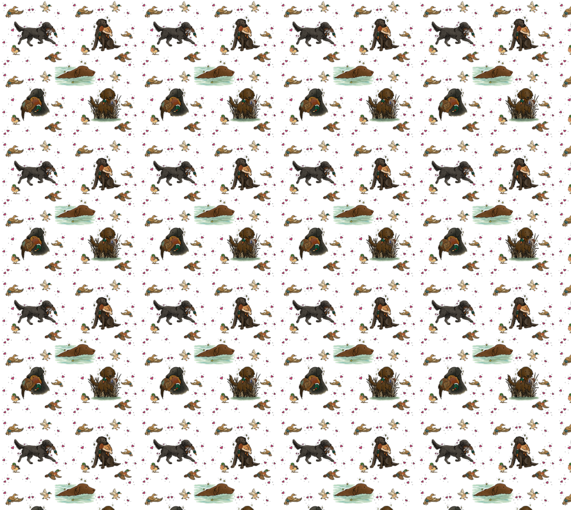 Flat-Coated Retriever