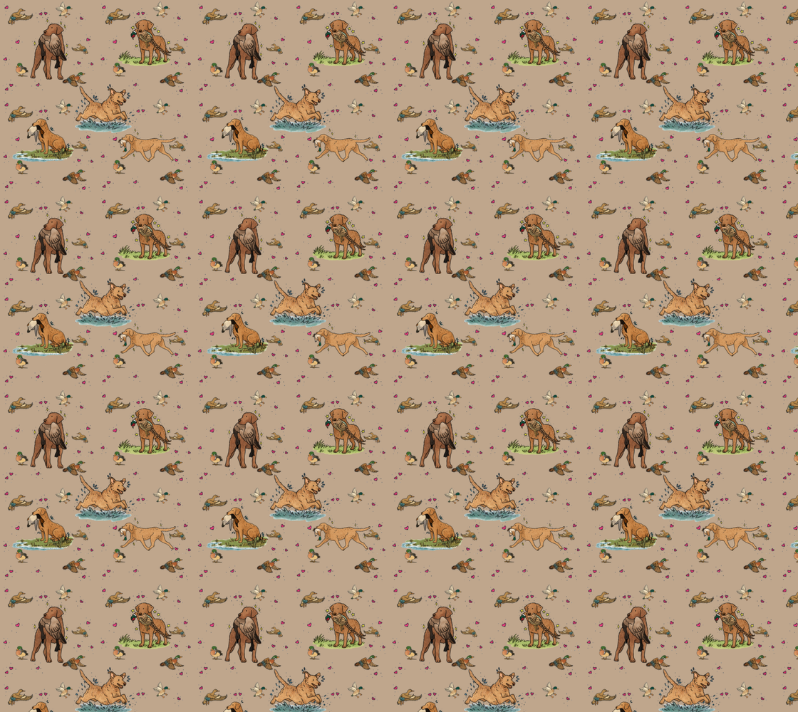 Chesapeake Bay Retriever