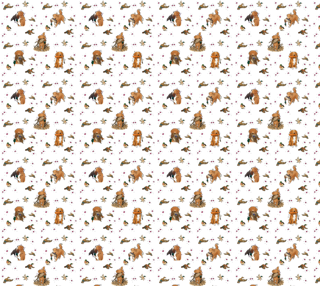 Nova Scotia Duck Tolling Retriever