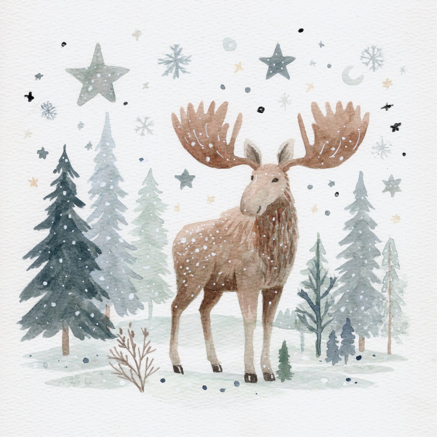 8x8 & 12x12 Watercolor - Moose