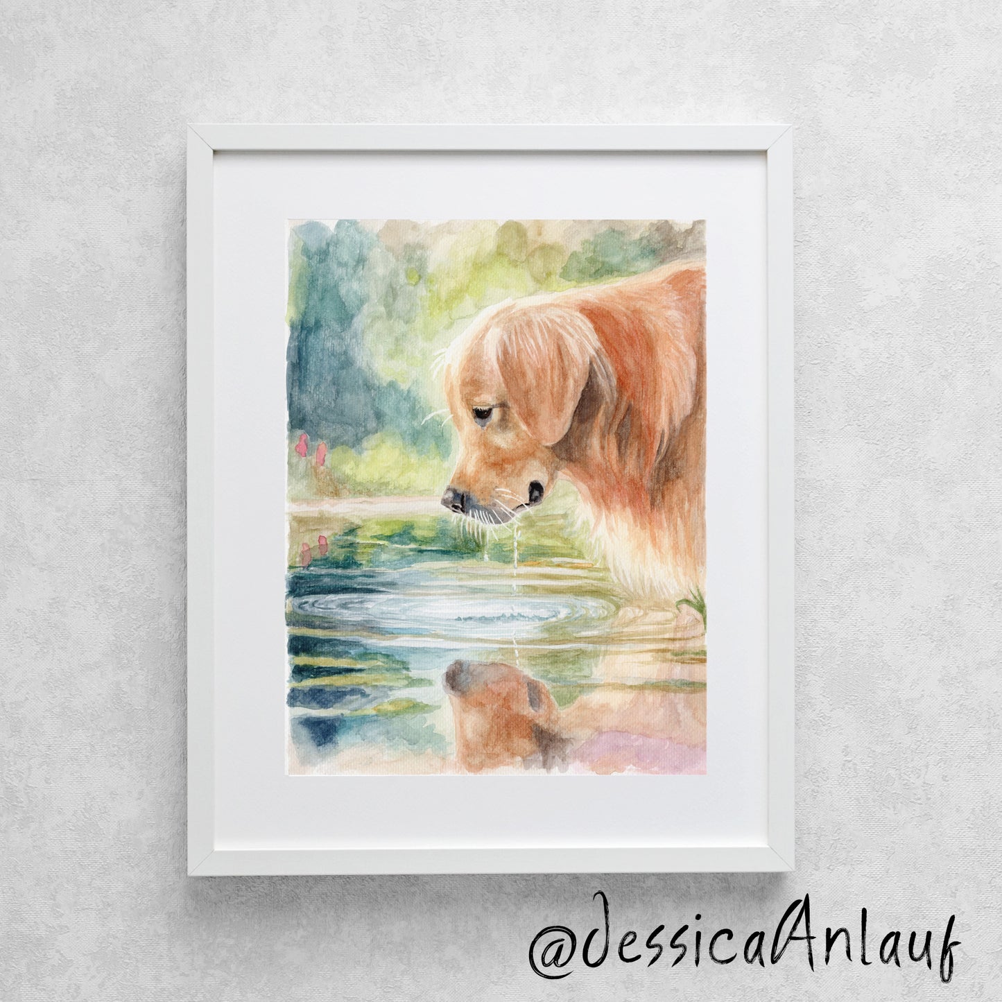 9x12 Golden Retriever drinking from pond