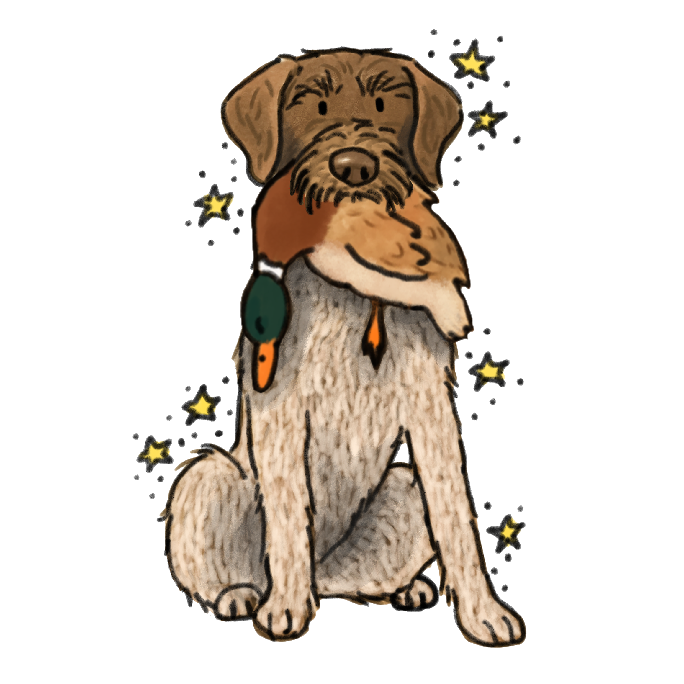 Hunting German Wirehaired Pointer