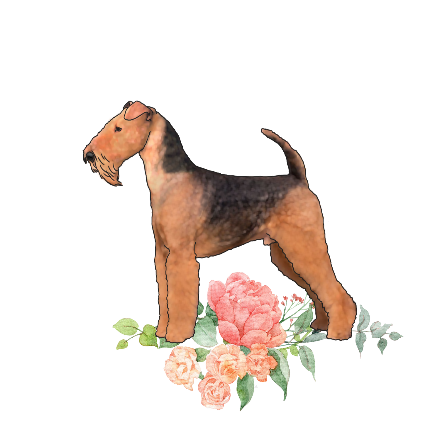Airedale Terrier