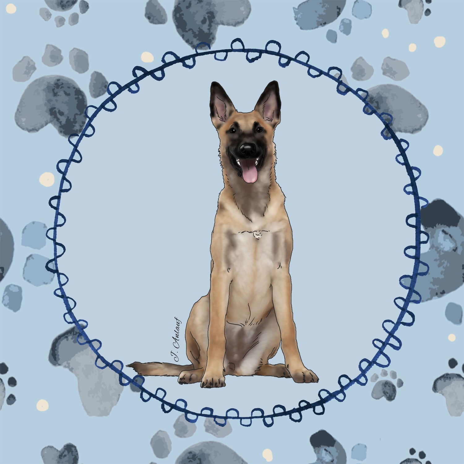 Belgian Malinois