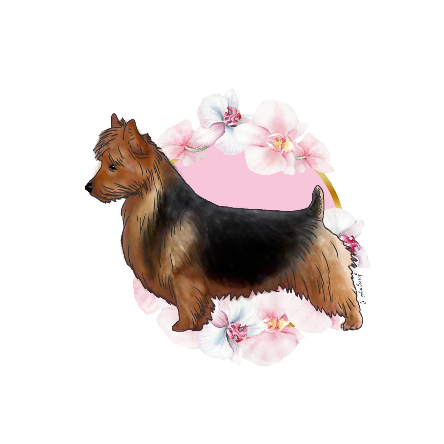 Australian Terrier