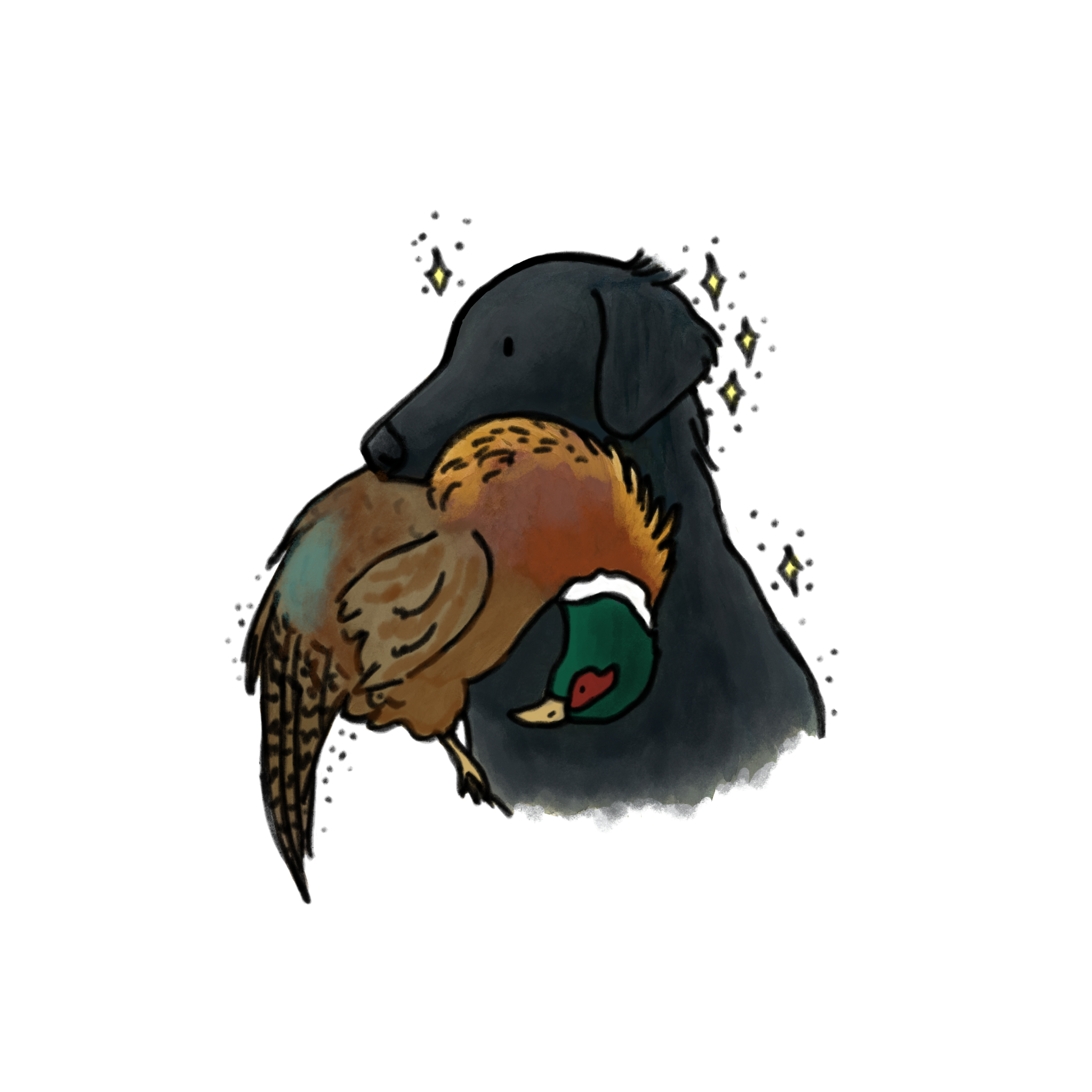 Hunting Flat-Coated Retriever