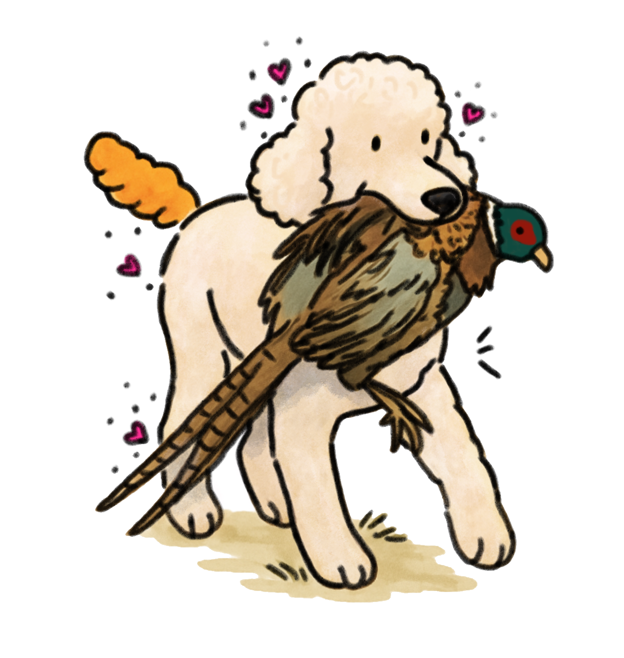 Hunting Standard Poodle