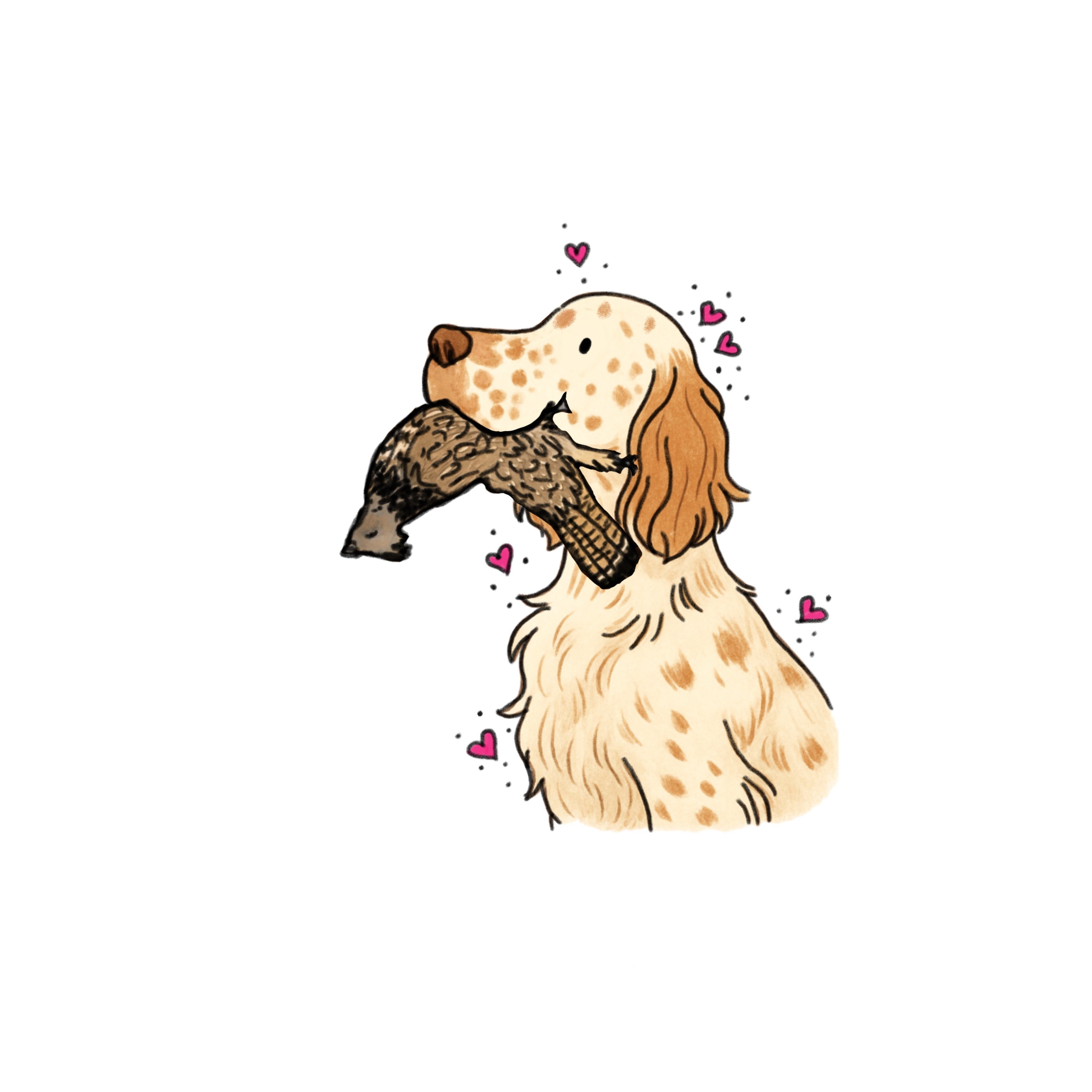 Hunting English Setter