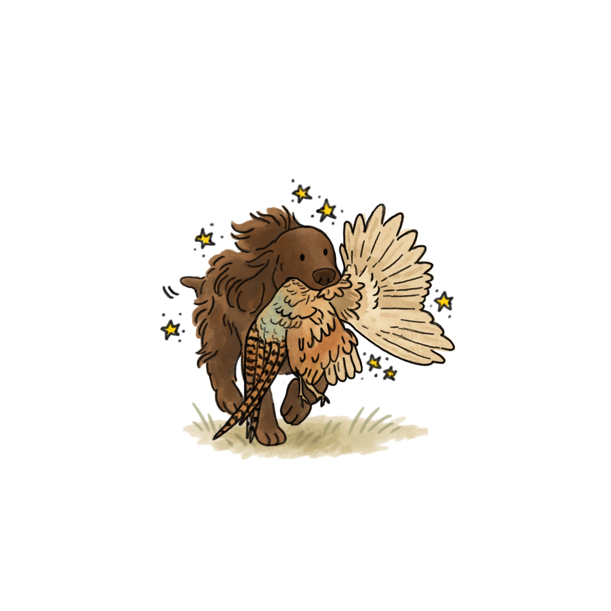 Hunting Field Spaniel