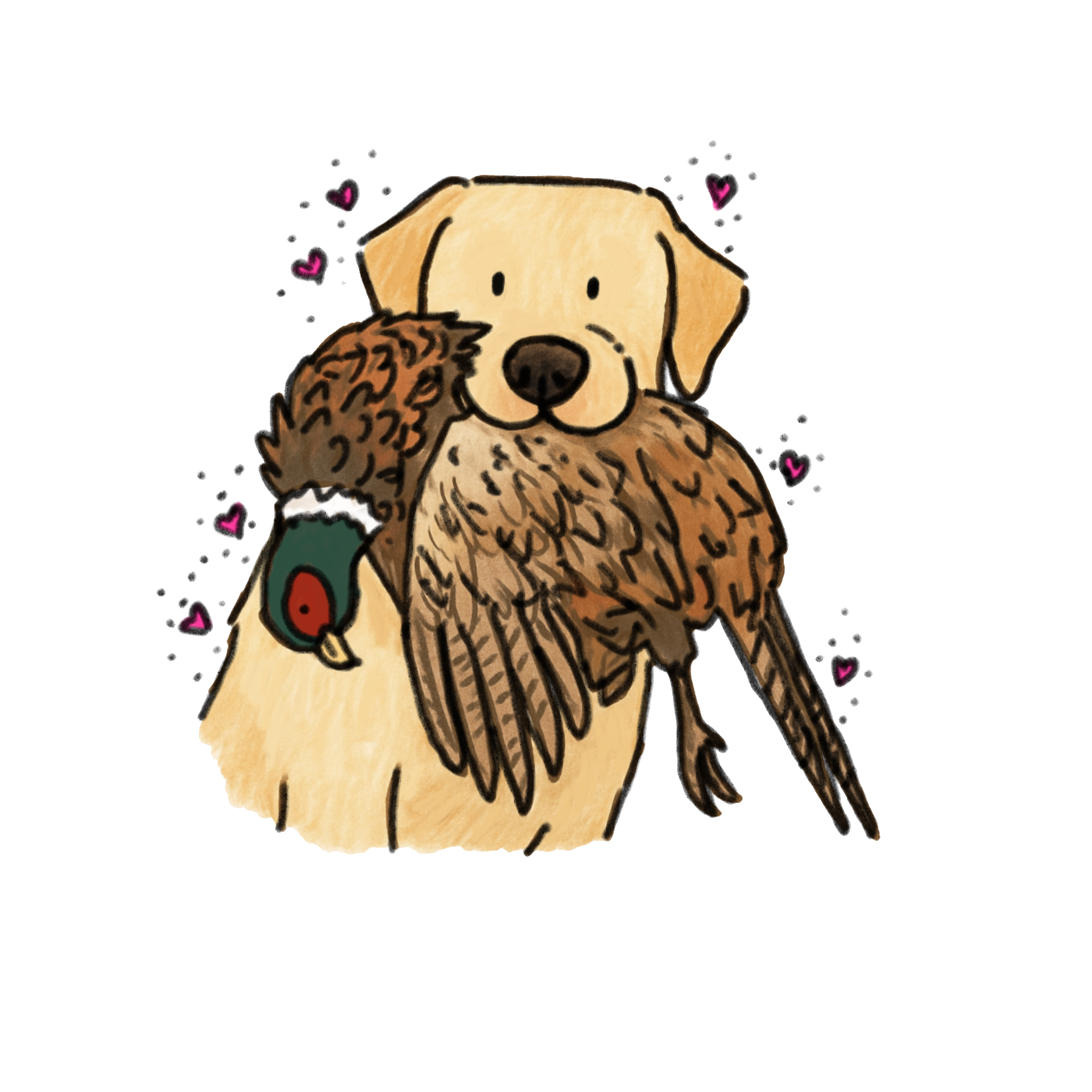 Hunting Yellow Labrador Retriever