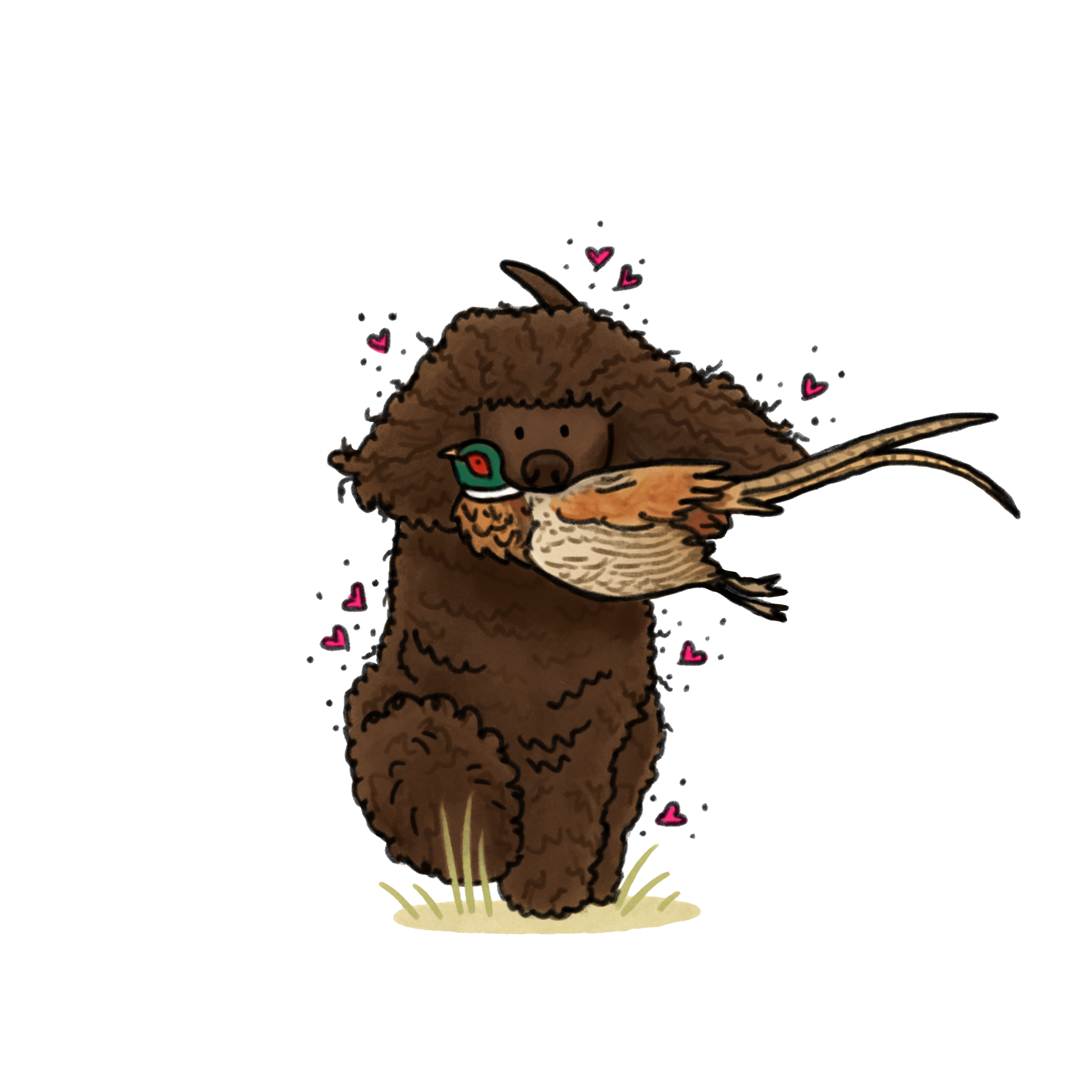 Hunting Irish Water Spaniel