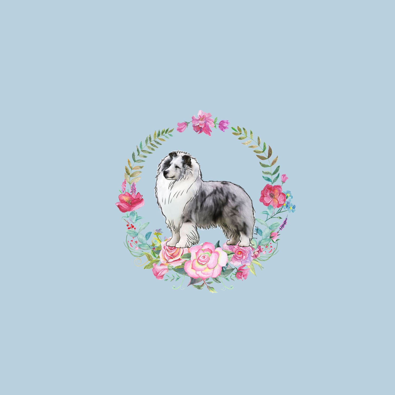 Shetland Sheepdog
