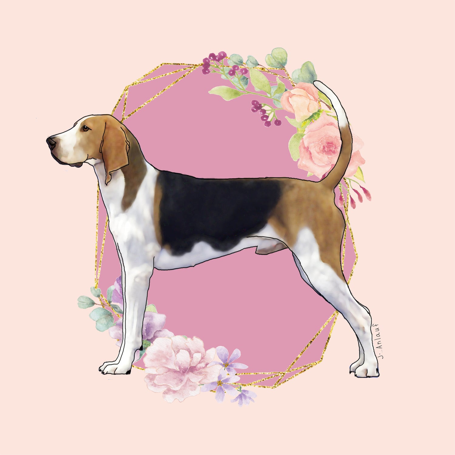 Treeing Walker Coonhound