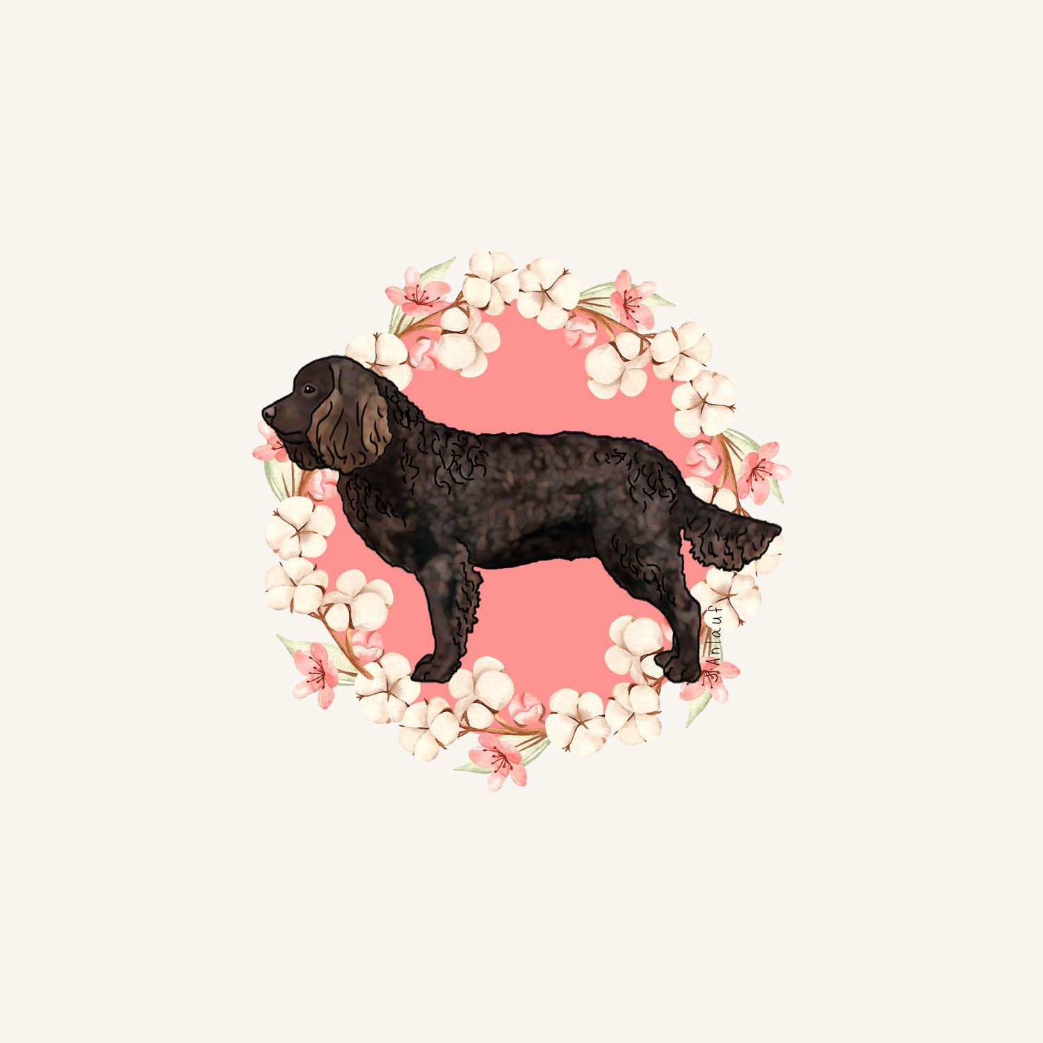 American Water Spaniel