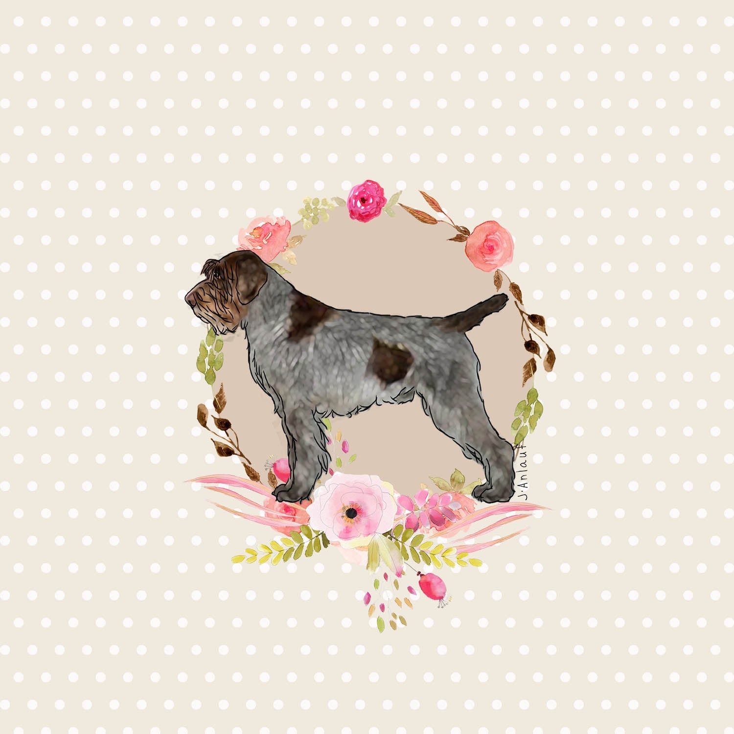Wirehaired Pointing Griffon