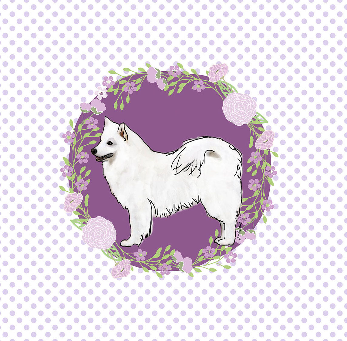 American Eskimo Dog