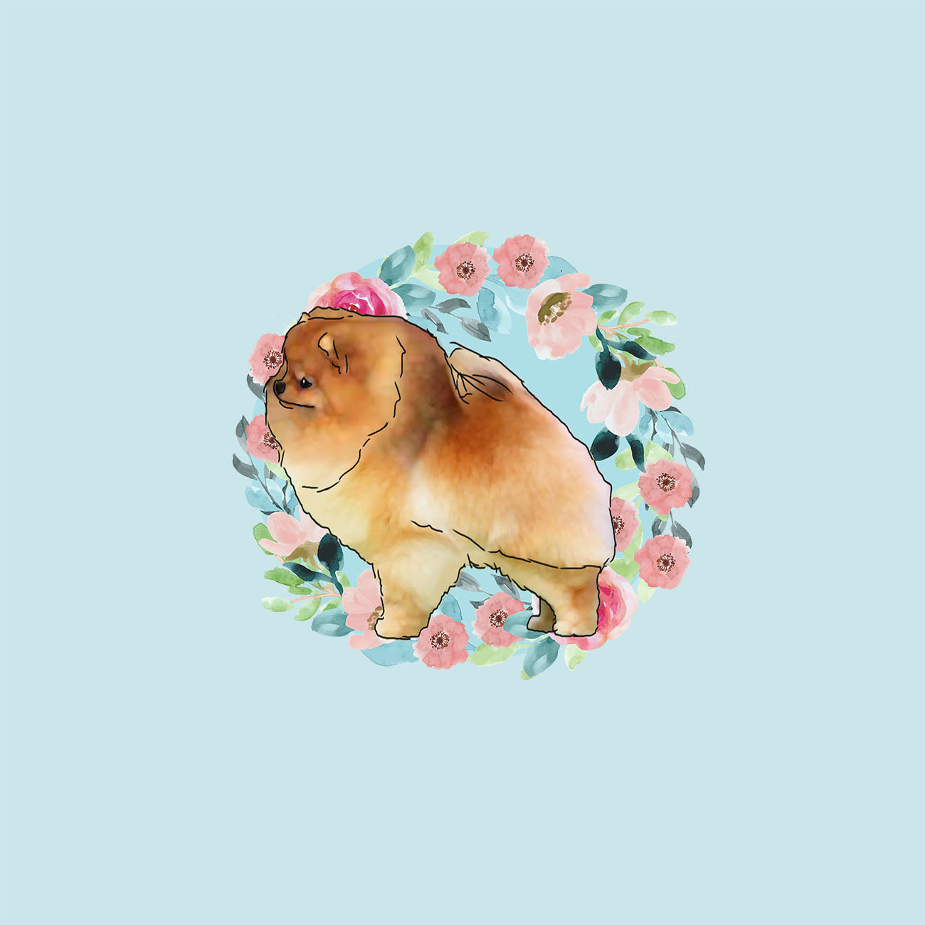 Pomeranian